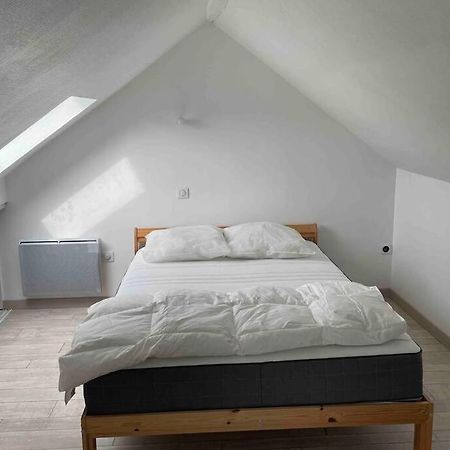 Superbe Appartement Duplex Centre Ville Reims Dış mekan fotoğraf